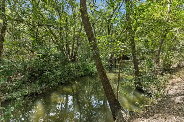 16001 Decker Lake RD, Manor, TX 78653