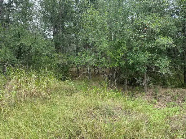 109 Halawa CT, Bastrop, TX 78602