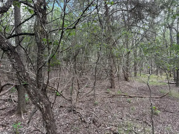 305 Nene LN, Bastrop, TX 78602