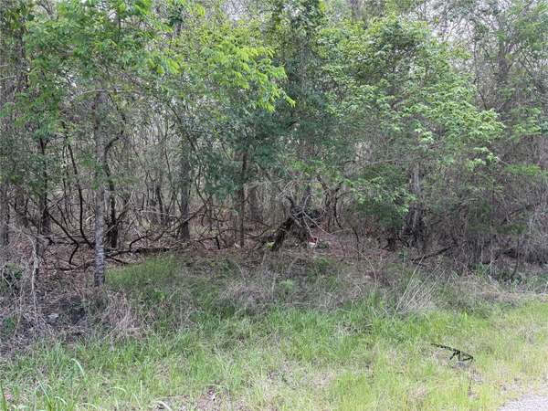 305 Nene LN, Bastrop, TX 78602