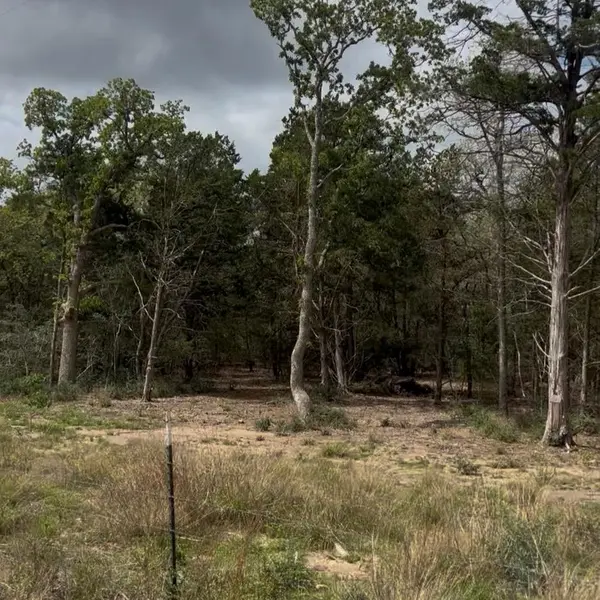 Lot 15 Antioch RD, Paige, TX 78659