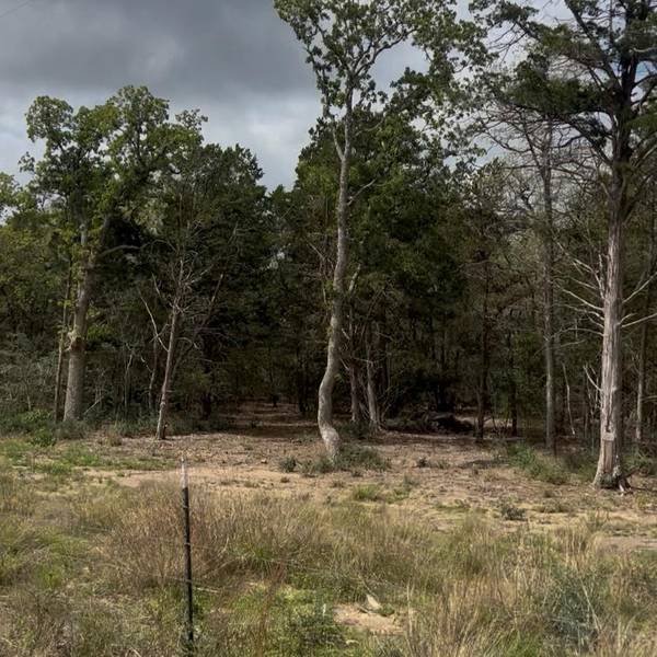 Lot 15 Antioch RD, Paige, TX 78659