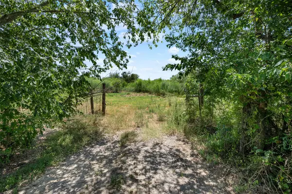 18101 Albert Voelker RD, Elgin, TX 78621