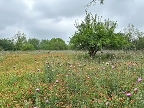379 Vintners WAY, Fredericksburg, TX 78624