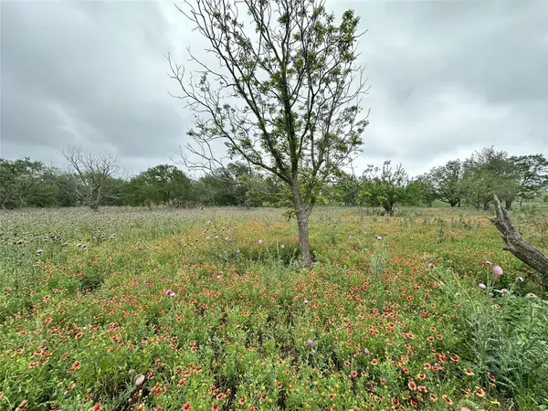 379 Vintners WAY, Fredericksburg, TX 78624