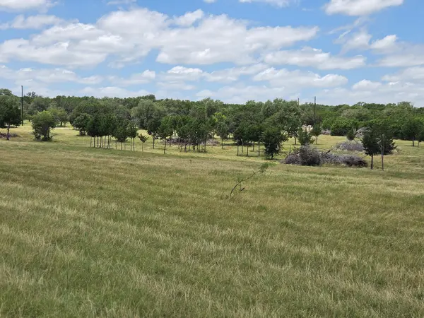113 Jayhawk Ct CT, Burnet, TX 78611