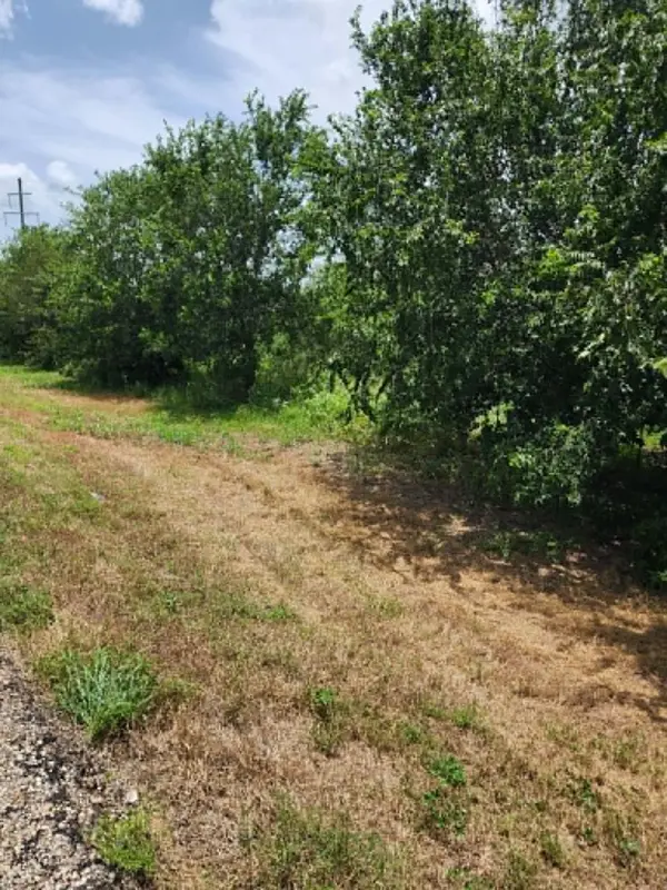000 Fm 466 ST, Cost, TX 78614