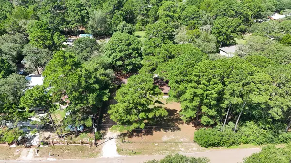 111 Old Piney TRL, Paige, TX 78659