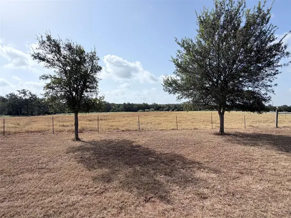 499 Mount Pleasant RD #A, Cedar Creek, TX 78612