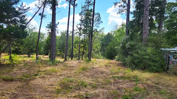 TBD Modock DR, Bastrop, TX 78602