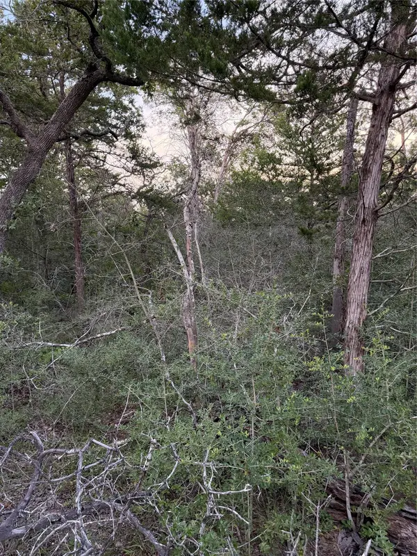 Lot 4 Spruce ST, Paige, TX 78659