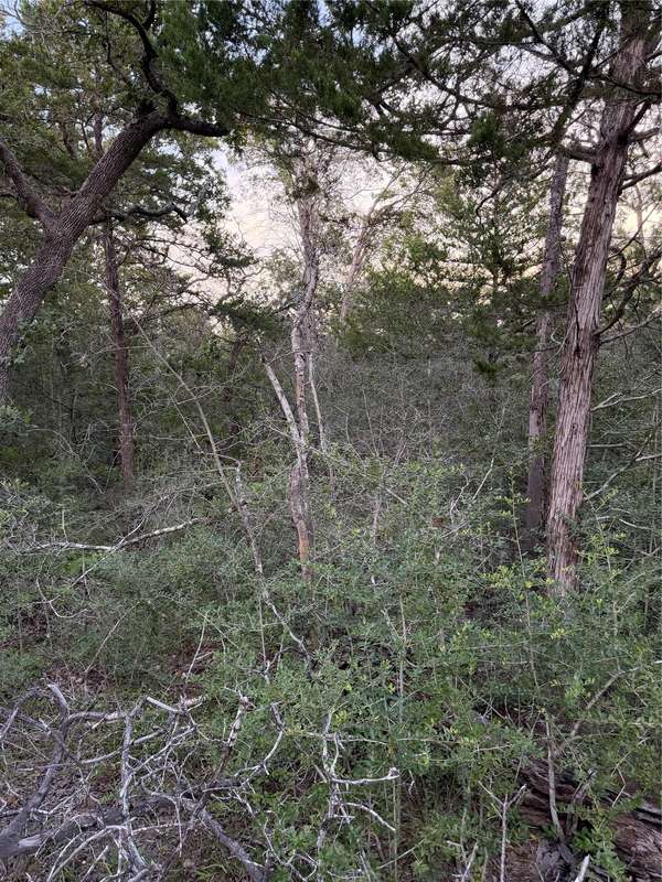 Lot 4 Spruce ST, Paige, TX 78659