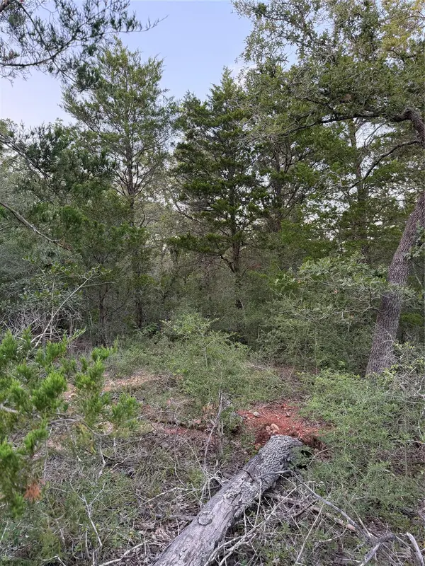 Lot 4 Spruce ST, Paige, TX 78659