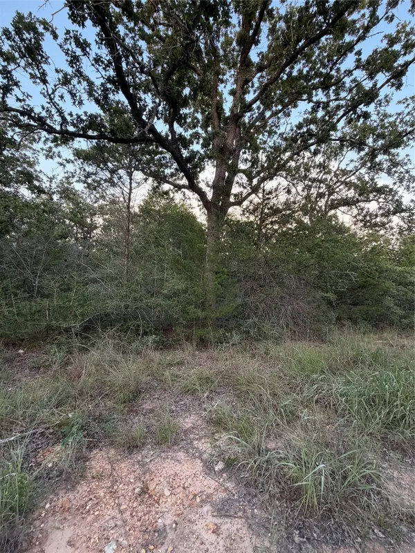 Lot 4 Spruce ST, Paige, TX 78659