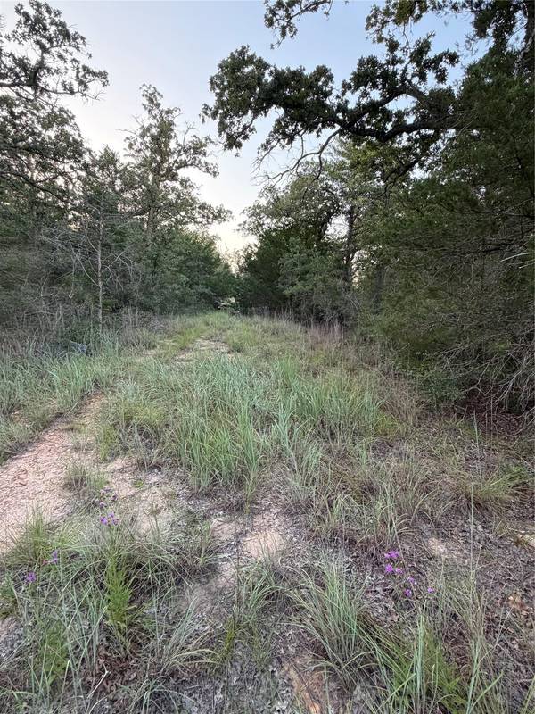 Lot 4 Spruce ST, Paige, TX 78659