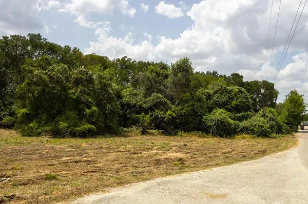 Lot 12 Patti CV S, Bastrop, TX 78602