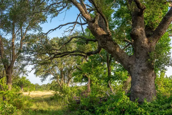 10223 FM963, Burnet, TX 78611