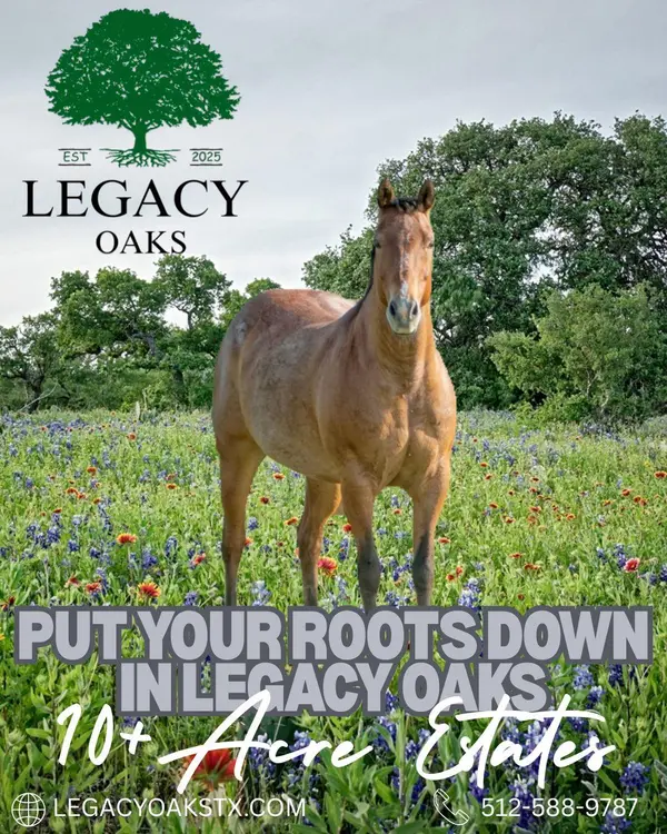 Lot 1 Legacy Ridge, Burnet, TX 78611