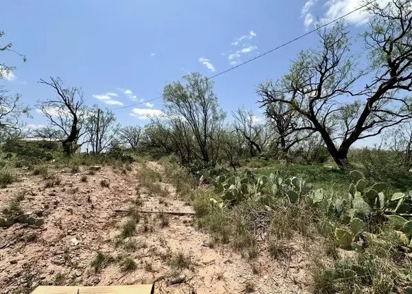 1900 W 4th ST, Big Spring, TX 79720