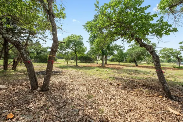 294 Mae PT, Dripping Springs, TX 78620