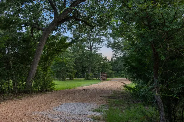 6951 Watermelon RD, Somerville, TX 77879