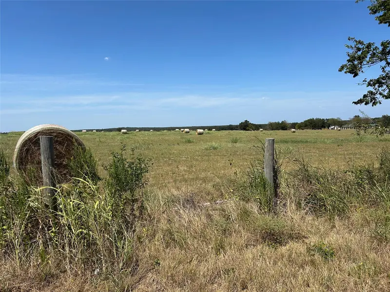 TBD E SH 21 HWY, Paige, TX 78659