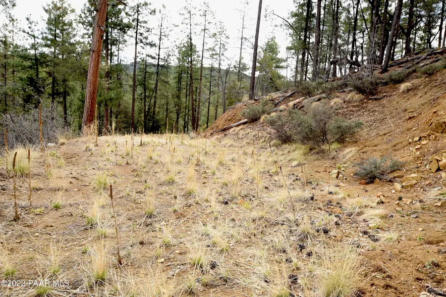 4850 S View RD, Prescott, AZ 86303