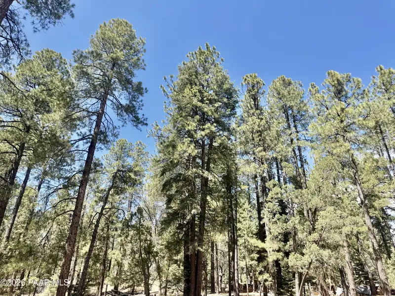 3200 E Misty Mountain LOOP, Prescott, AZ 86303