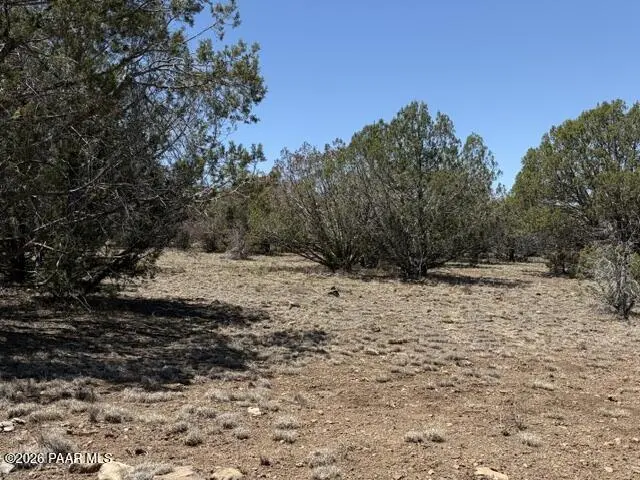 356a Sierra Verde Ranch, Seligman, AZ 86337