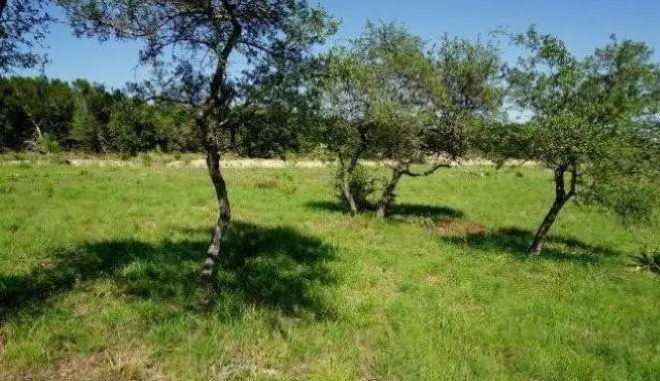 124 Sendera WAY, Canyon Lake, TX 78133