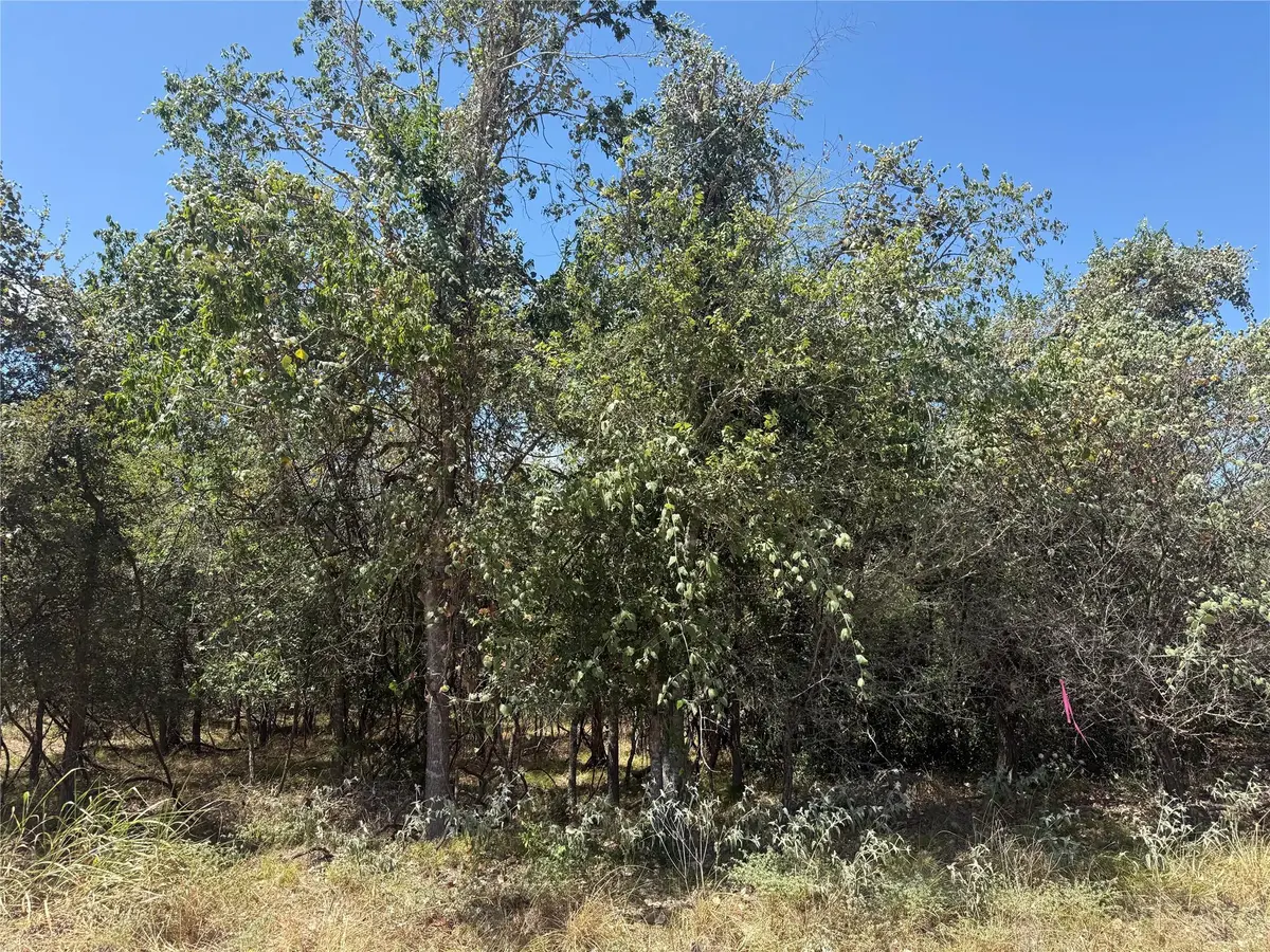 TBD Kawainui LN, Bastrop, TX 78602