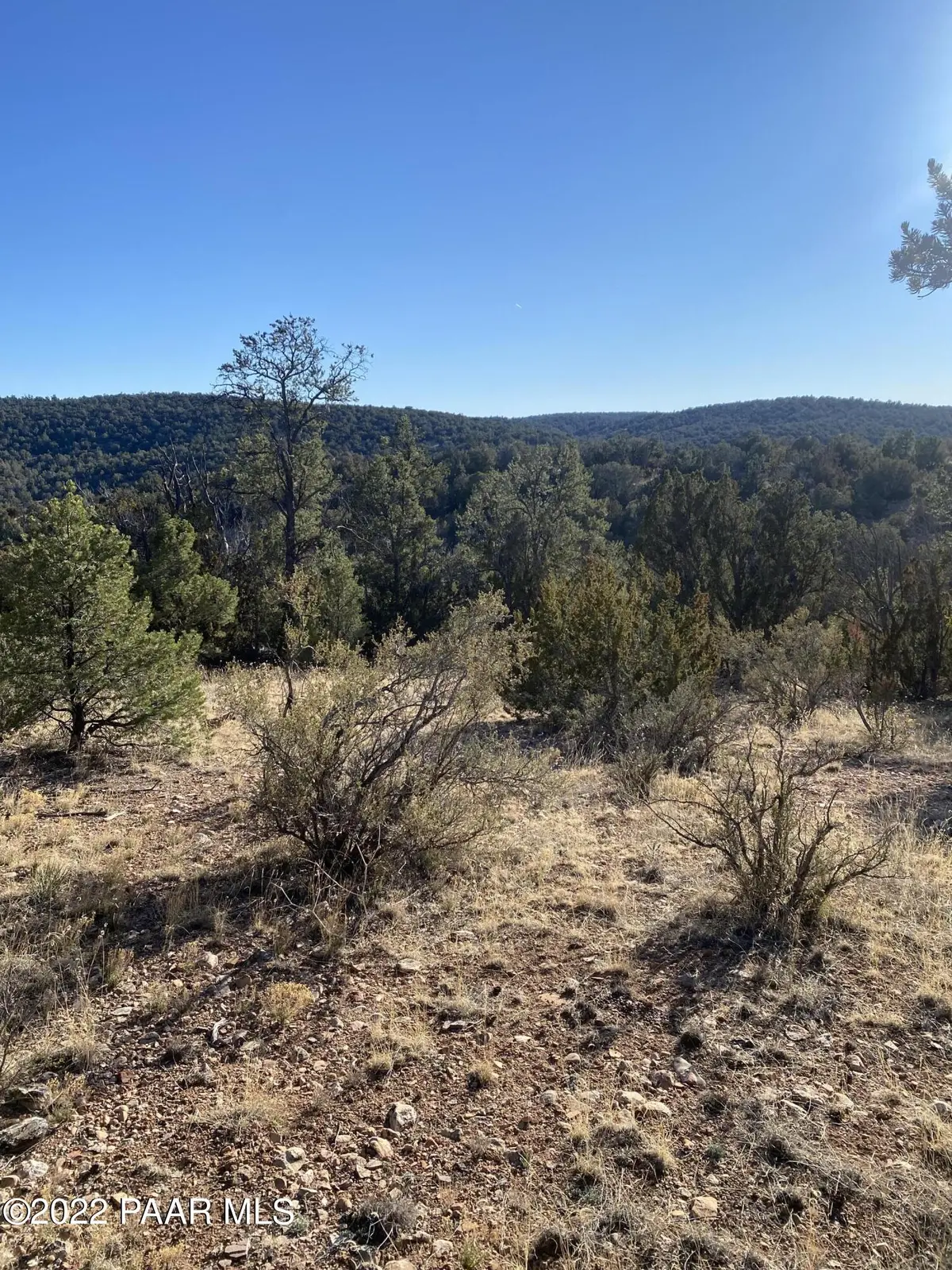 51804 N Cordero RD, Seligman, AZ 86337