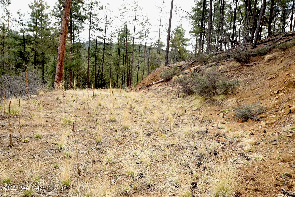 4850 S View RD, Prescott, AZ 86303
