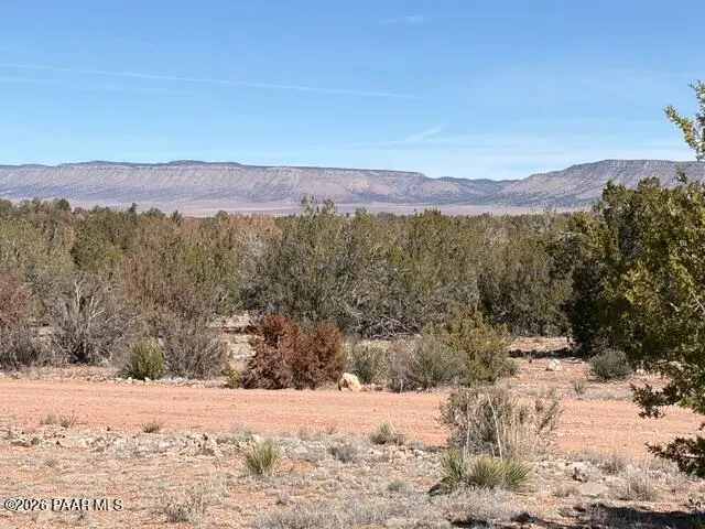 58102 Bridge Canyon RD, Seligman, AZ 86337