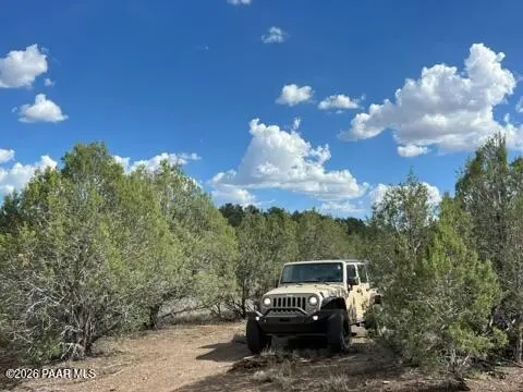 82 Mathis RD, Williams, AZ 86046