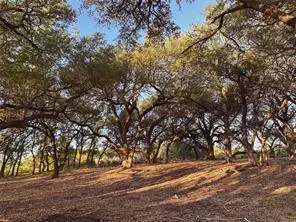 Lot 7 Rifle Ridge, Burnet, TX 78611
