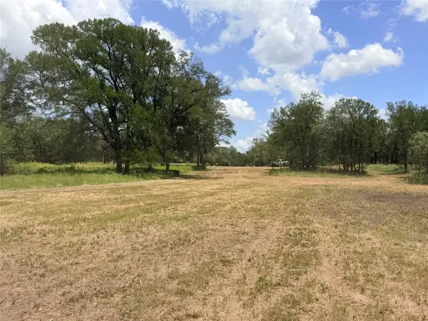 TBD FM 86 Tract 2 HWY, Luling, TX 78648