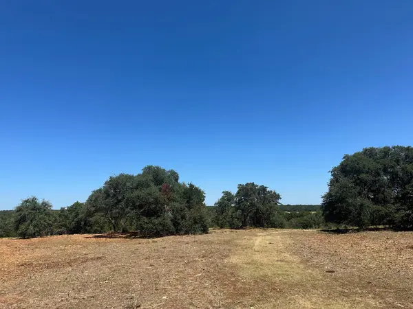 1900 County Road 284, Liberty Hill, TX 78642