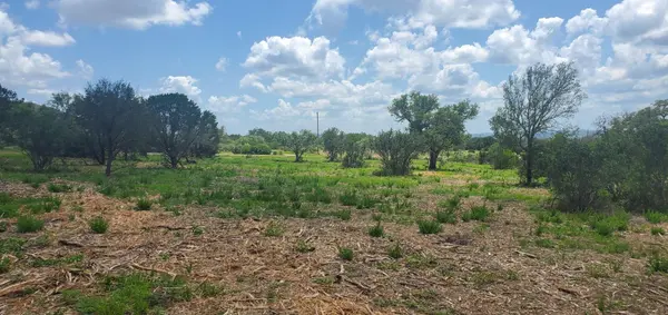 Tract 6 Lehne LOOP, Buchanan Dam, TX 78609