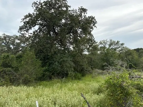 Lot #1 Willis Ln LN, Smithville, TX 78957