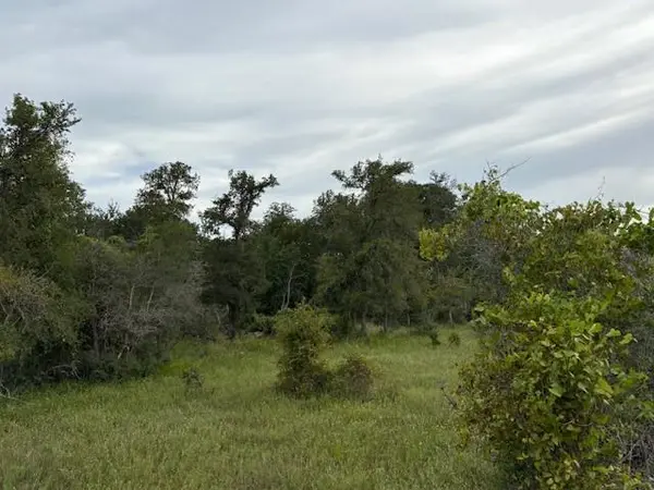 Lot #1 Willis Ln LN, Smithville, TX 78957