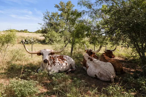 625 Callihan RD, Luling, TX 78648