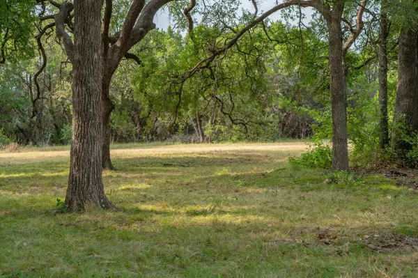 5021 Little Valley RD, Leander, TX 78641