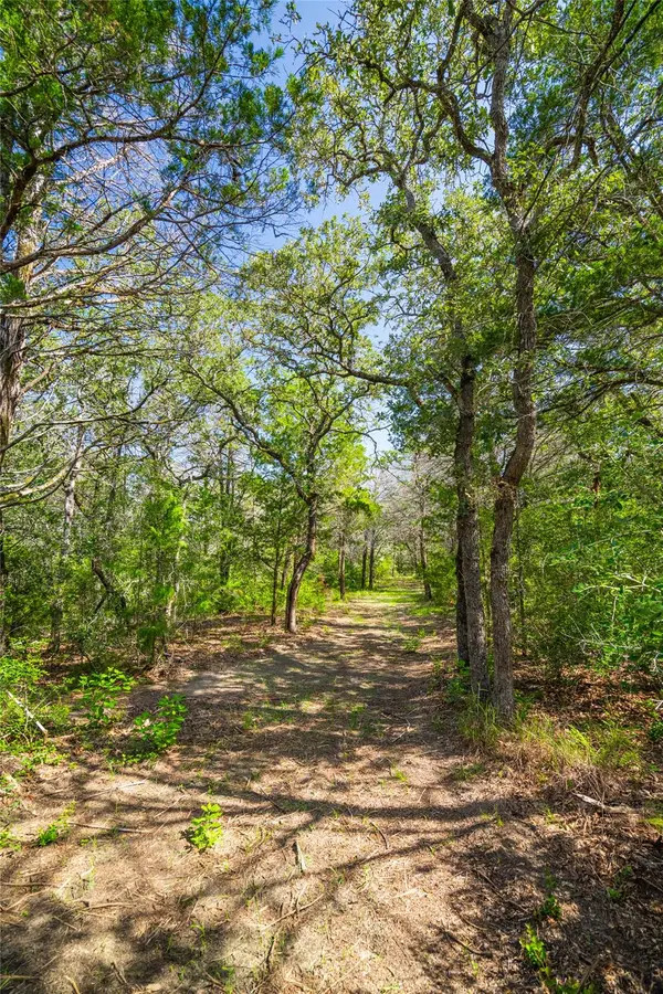1247 Sand Hills Road, Rosanky, TX 78953