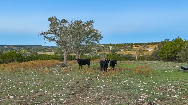 4237 County Road 330 RD, Burnet, TX 78611
