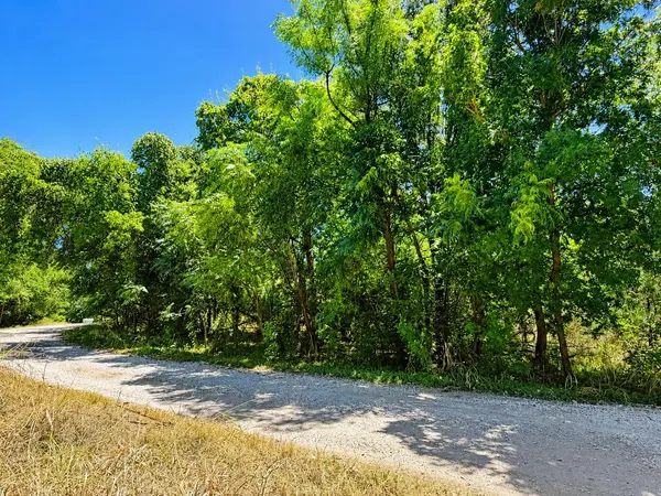 TBD Buckner LN, Burnet, TX 78611