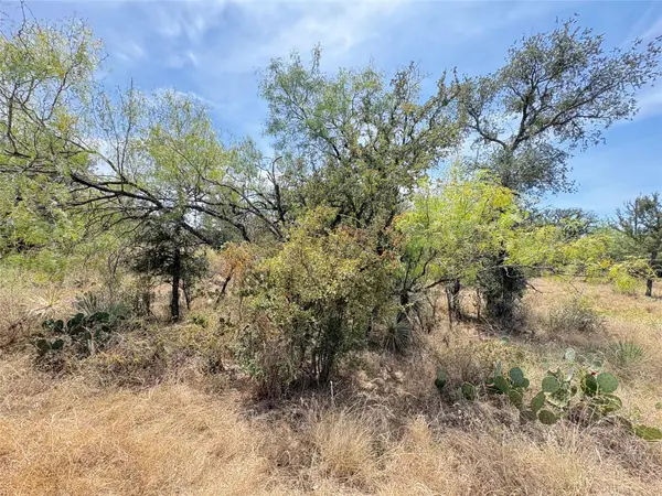 387 Rosehill DR, Granite Shoals, TX 78654