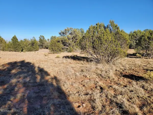 000 Our ST, Seligman, AZ 86337