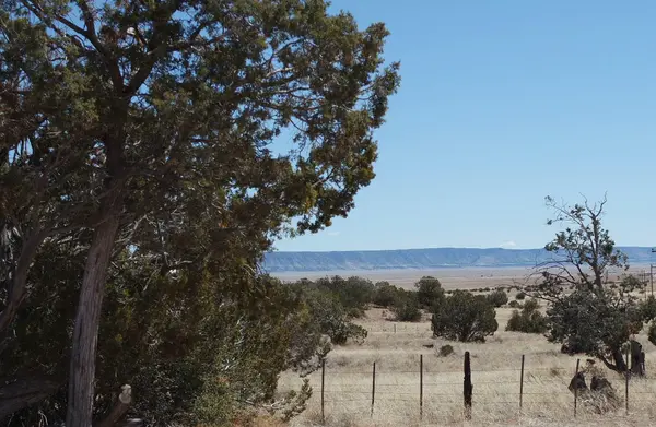 39110 W Old Highway 66, Seligman, AZ 86337