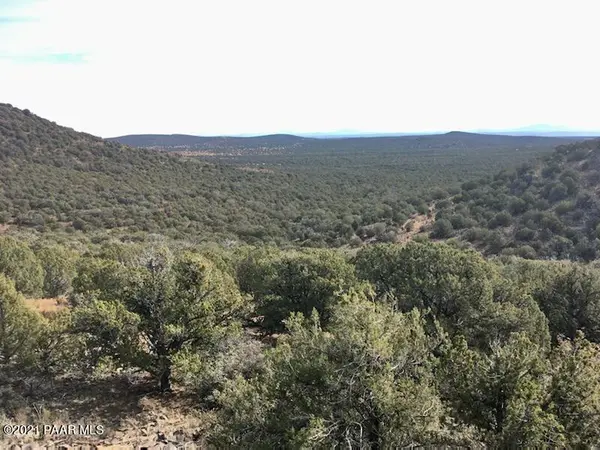407 Westwood Ranch Lot Unit #407, Seligman, AZ 86337